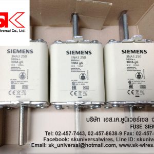 3NA3250 FUSE