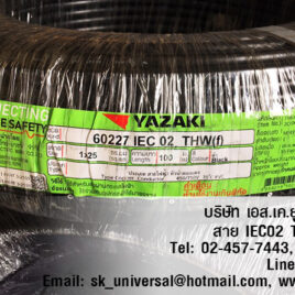 สายอ่อน IEC02 THW(f) VSF 25