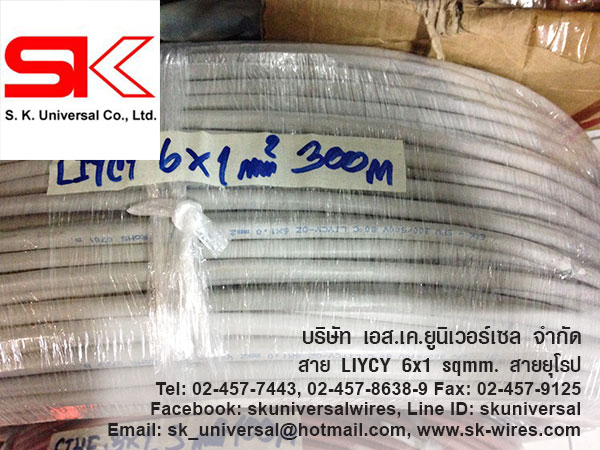 LIYCY-OZ 6C X 1 MM2 สายมัลติคอร์ สายชีลด์