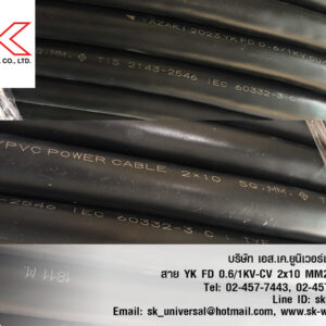 YK FD-0.6/1KV-CV 2x10