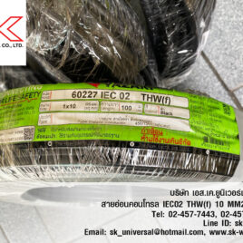 IEC02 THW(f) 10 mm2
