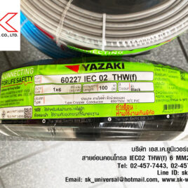 IEC02 THW(f) 6 mm2