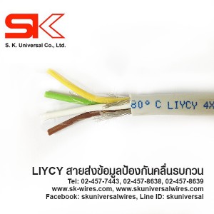 LIYCY 02        