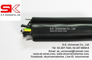 Lift2S ControlWires    